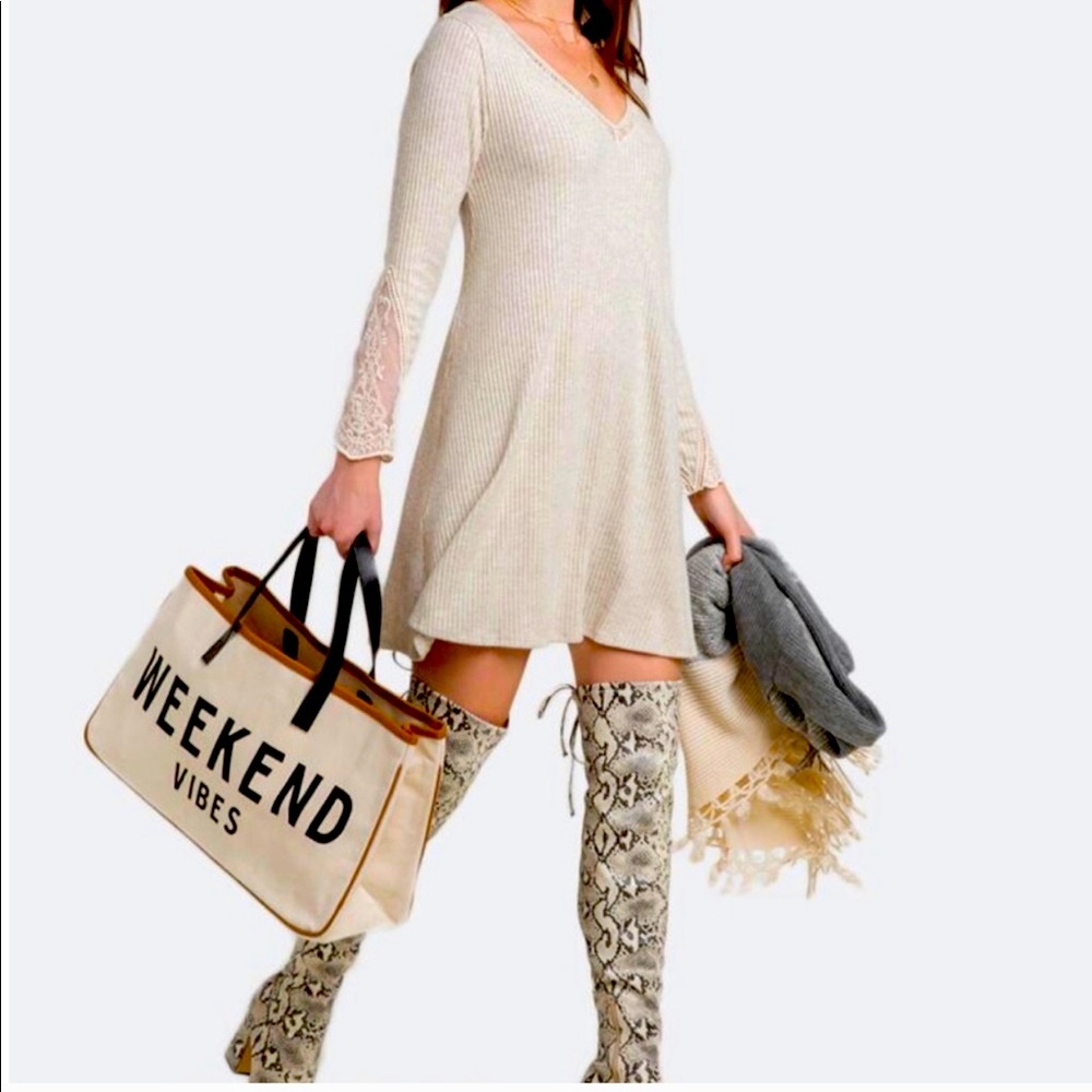 Francesca’s Beige Lace Sleeve Dress